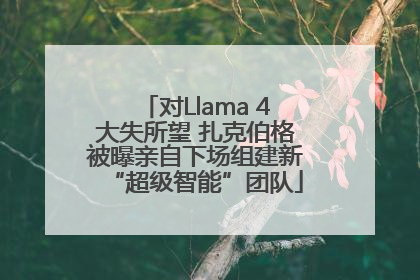对Llama 4大失所望 扎克伯格被曝亲自下场组建新“超级智能”团队