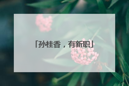 孙桂香，有新职