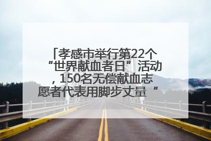 孝感市举行第22个“世界献血者日”活动，150名无偿献血志愿者代表用脚步丈量“中华孝爱第一山”