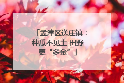 孟津区送庄镇：种瓜不见土 田野更“多金”