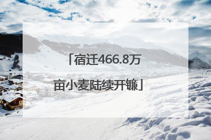 宿迁466.8万亩小麦陆续开镰