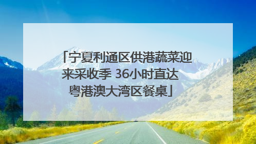 宁夏利通区供港蔬菜迎来采收季 36小时直达粤港澳大湾区餐桌