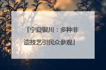 宁夏银川：多种非遗技艺引民众参观