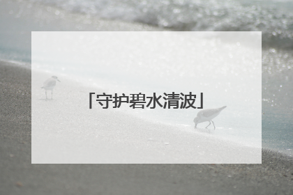 守护碧水清波