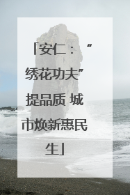 安仁：“绣花功夫”提品质 城市焕新惠民生
