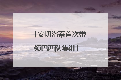 安切洛蒂首次带领巴西队集训