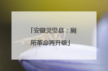 安徽灵璧县：厕所革命再升级