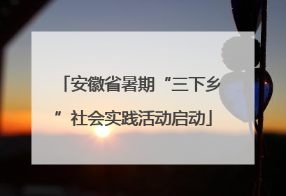 安徽省暑期“三下乡”社会实践活动启动