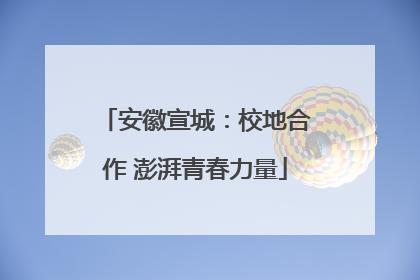 安徽宣城：校地合作 澎湃青春力量