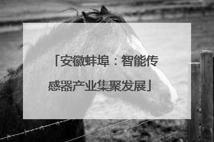 安徽蚌埠：智能传感器产业集聚发展