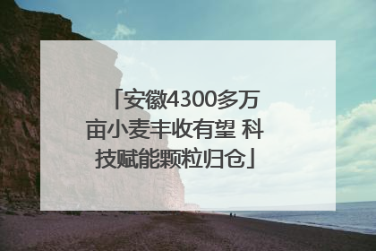 安徽4300多万亩小麦丰收有望 科技赋能颗粒归仓