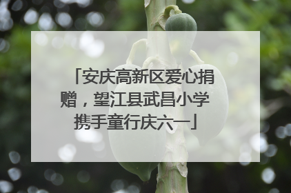 安庆高新区爱心捐赠，望江县武昌小学携手童行庆六一