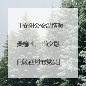 安阳公安温情暖桑榆 七一前夕慰问汤西村老党员