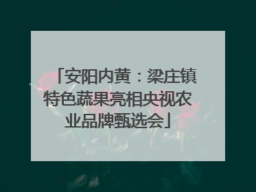 安阳内黄：梁庄镇特色蔬果亮相央视农业品牌甄选会