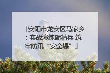 安阳市龙安区马家乡：实战演练砺精兵 筑牢防汛“安全堤”