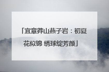 宜章莽山燕子岩：初夏花似锦 绣球绽芳颜