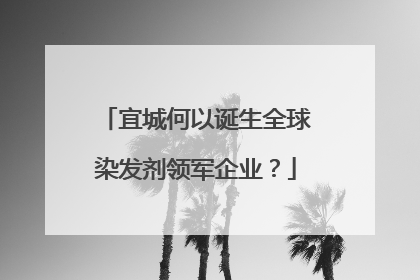 宜城何以诞生全球染发剂领军企业？