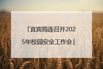宜宾筠连召开2025年校园安全工作会