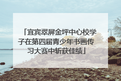 宜宾翠屏金坪中心校学子在第四届青少年书画传习大赛中斩获佳绩