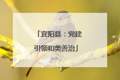 宜阳县：党建引领和美善治