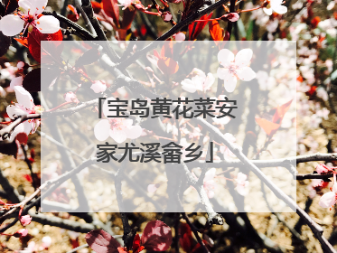 宝岛黄花菜安家尤溪畲乡