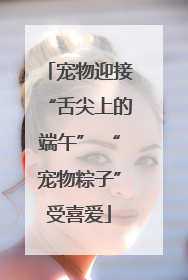 宠物迎接“舌尖上的端午” “宠物粽子”受喜爱
