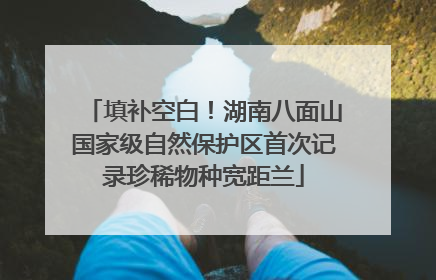 填补空白！湖南八面山国家级自然保护区首次记录珍稀物种宽距兰
