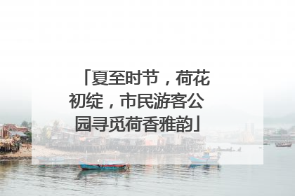 夏至时节，荷花初绽，市民游客公园寻觅荷香雅韵