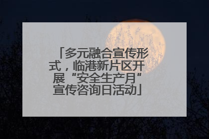 多元融合宣传形式，临港新片区开展“安全生产月”宣传咨询日活动