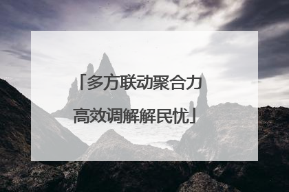 多方联动聚合力 高效调解解民忧