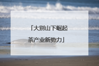 大别山下崛起茶产业新势力