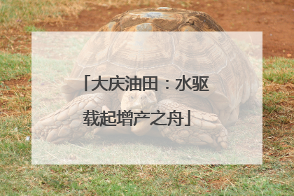 大庆油田：水驱载起增产之舟