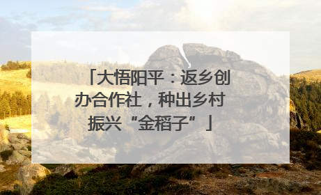 大悟阳平：返乡创办合作社，种出乡村振兴“金稻子”