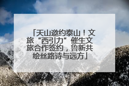 天山邀约泰山！文旅“西引力”催生文旅合作签约，鲁新共绘丝路诗与远方