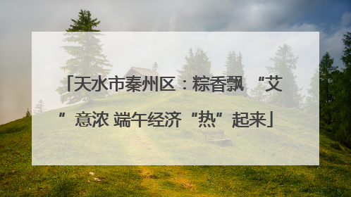 天水市秦州区：粽香飘 “艾”意浓 端午经济“热”起来