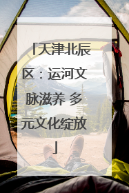 天津北辰区：运河文脉滋养 多元文化绽放