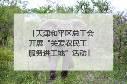 天津和平区总工会开展“关爱农民工 服务进工地”活动