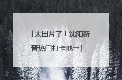 太出片了！沈阳新晋热门打卡地→
