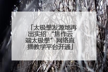 太极拳发源地再出实招 “焦作云端太极拳”网络直播教学平台开通