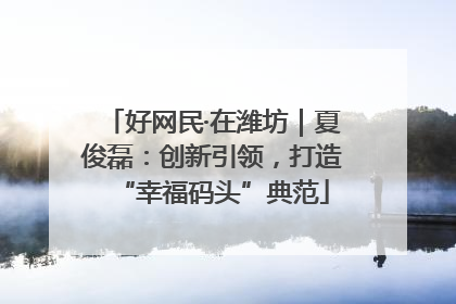 好网民·在潍坊｜夏俊磊：创新引领，打造“幸福码头”典范