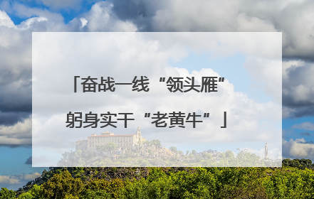 奋战一线“领头雁” 躬身实干“老黄牛”