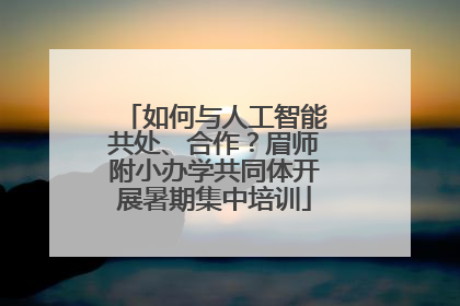 如何与人工智能共处、合作？眉师附小办学共同体开展暑期集中培训