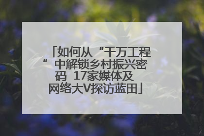 如何从“千万工程”中解锁乡村振兴密码  17家媒体及网络大V探访蓝田