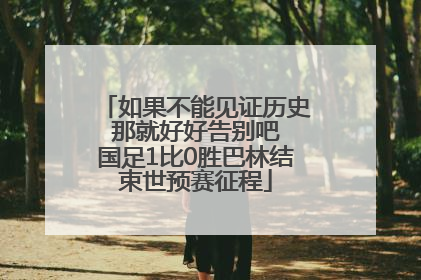 如果不能见证历史 那就好好告别吧 国足1比0胜巴林结束世预赛征程