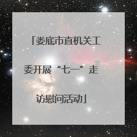 娄底市直机关工委开展“七一”走访慰问活动