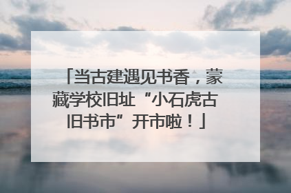 当古建遇见书香，蒙藏学校旧址“小石虎古旧书市”开市啦！