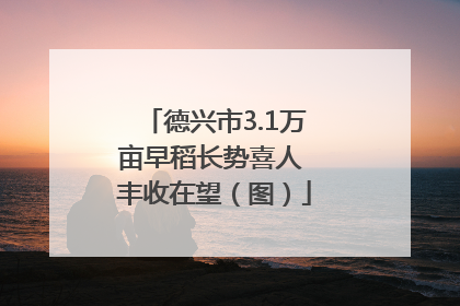 德兴市3.1万亩早稻长势喜人 丰收在望（图）