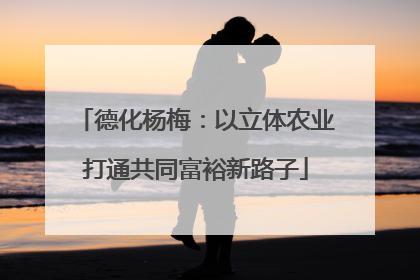 德化杨梅：以立体农业打通共同富裕新路子