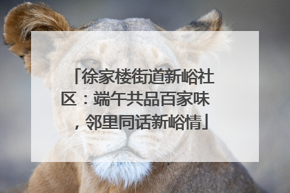 徐家楼街道新峪社区：端午共品百家味，邻里同话新峪情