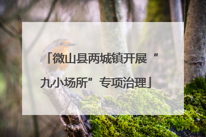 微山县两城镇开展“九小场所”专项治理
